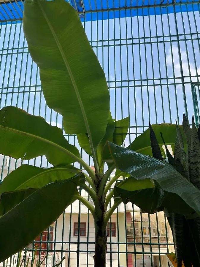 Egardenstay 